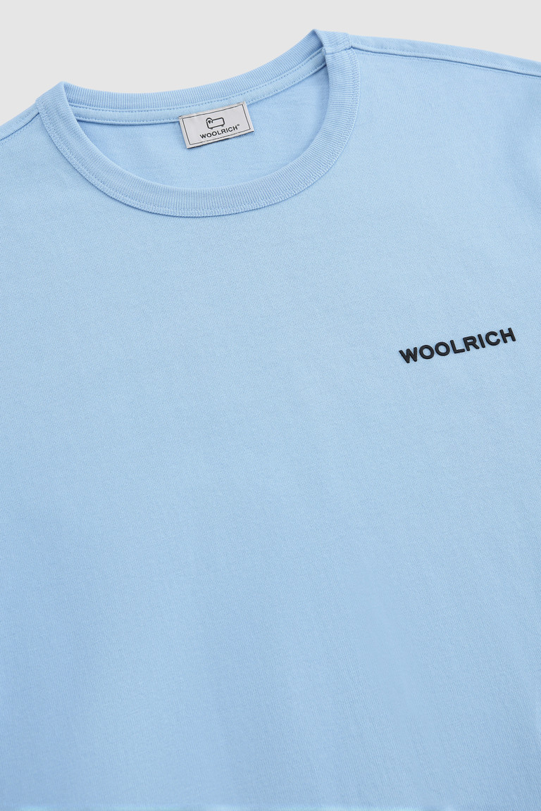 Blue Woolrich With Back Print Men's T Shirts | 5137920-HQ