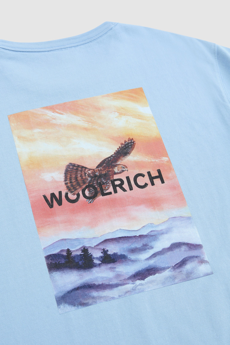 Blue Woolrich With Back Print Men's T Shirts | 5137920-HQ